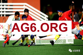 小蜜蜂主帅：虽然没能拿下胜利，但我认为球队的表现极为出色